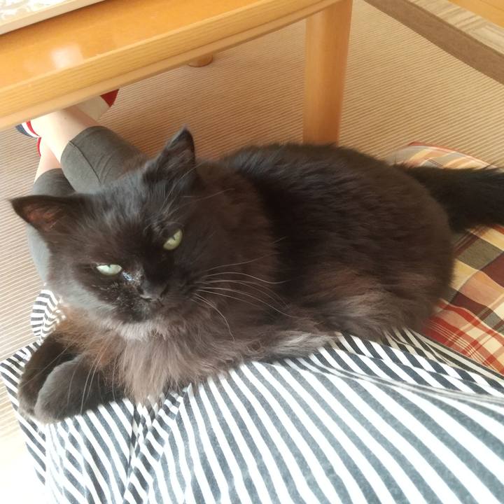 2e6d7a9a 0f76 4949 8c1c 108a1358c4e9 1632460962033