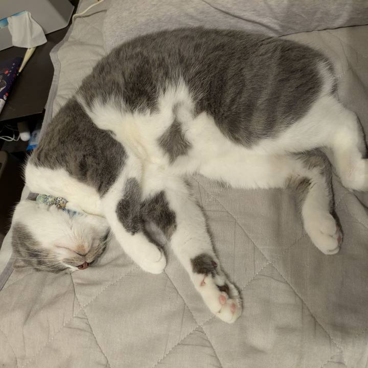 2e6d9ee8 91a2 41a8 b02f 478677977550 1749473584926