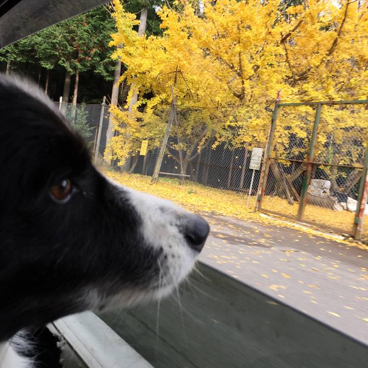 2e6dd157 8a38 4704 80dc 9a5379073ce2 1574653834493