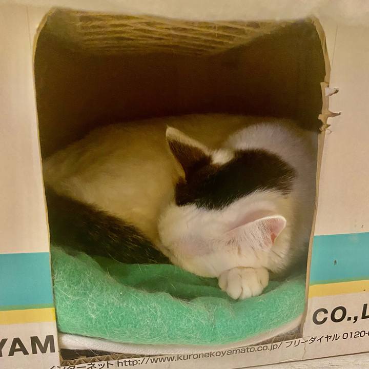 2e6de876 26ee 4246 970c 444cd36f9b9f 1672267894065