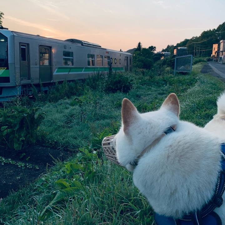 2e6e0ac7 076a 4479 b1e4 56a92a6ab357 1629406097397