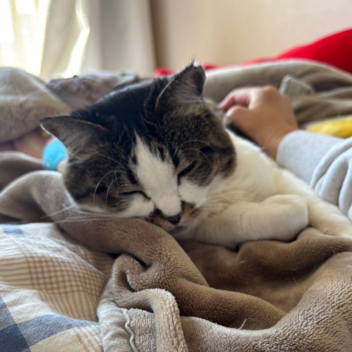 2e6e1698 d487 4e74 a7b5 3a53ec0e098f 1772940079364