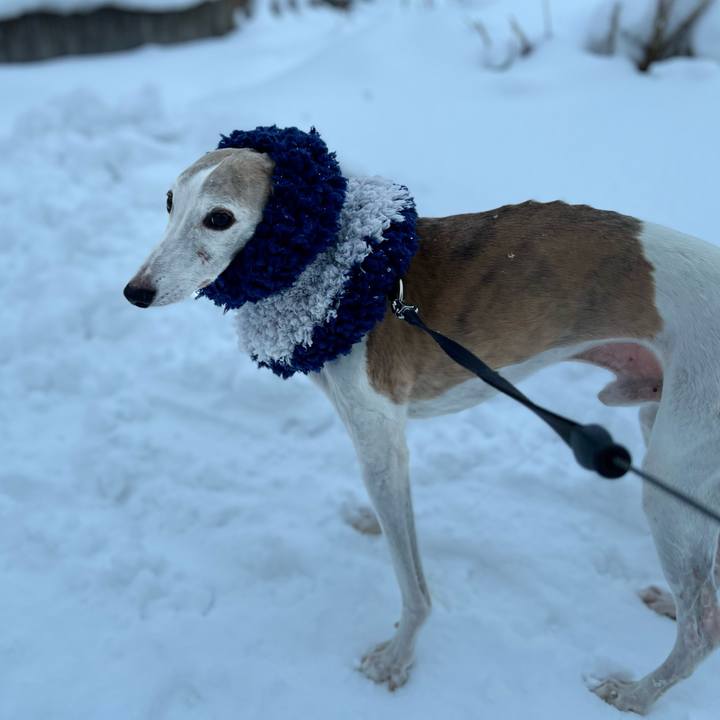 2e6e212d 9777 4d56 96c8 84ba66cfbd3d 1767429715221