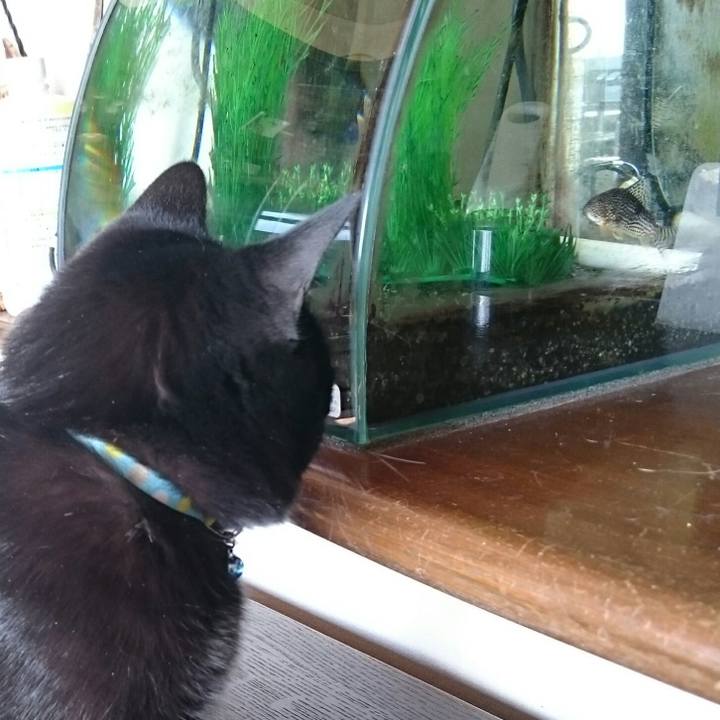 2e6e7882 1b3c 4650 8b05 cb73667e9d7b 1516930536653