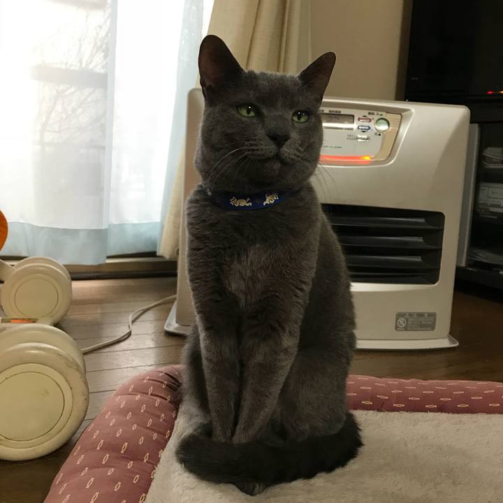 2e6e860b 5519 4223 8c09 7099cb67f158 1512286496018