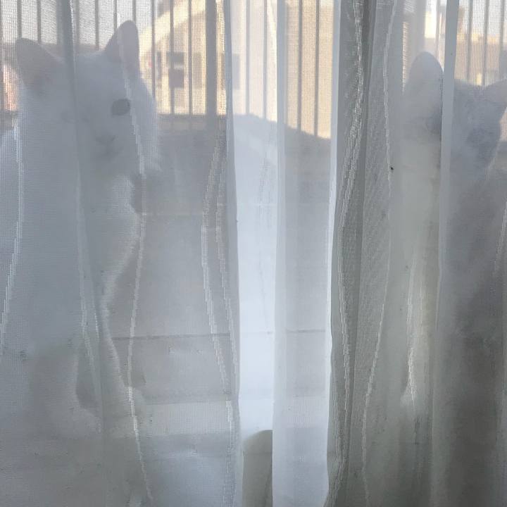 2e6ec369 e669 4b1c a71a 4df0ee088824 1526724913653