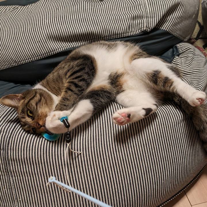 2e6f2ee4 8dd2 485e 9483 23d58b2b910d 1689336725195