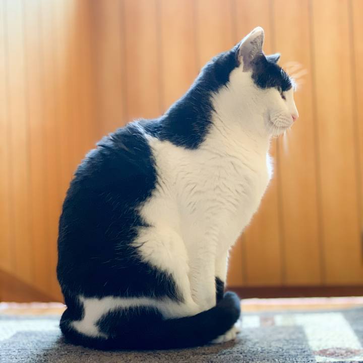 2e6f70d8 d94f 492c aa72 a33df80bfee3 1587519955700