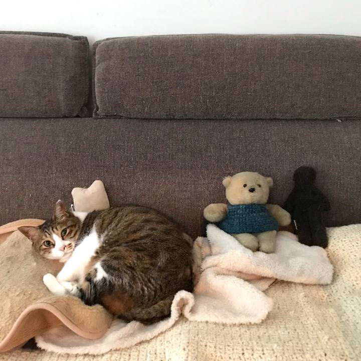 2e6f751e e4d6 40f9 9b76 bb968a87475e 1621398680344