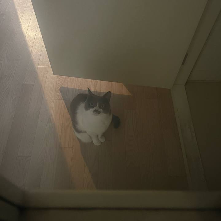 2e6f9bfe 21dc 4416 9ddd 4ed2a1192c30 1713582997188