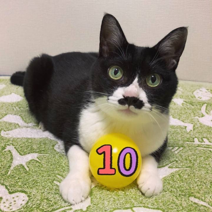 2e6f9c5b 3d92 438a a433 6188e1e510b8 1568994653275