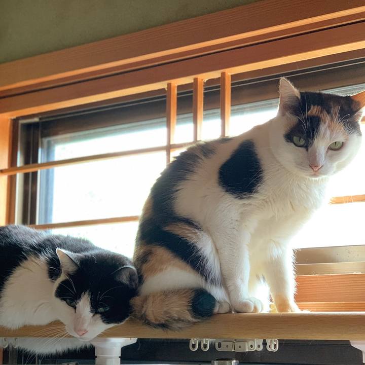 2e6fa39d 2230 43c5 83c4 2c5cff712aca 1603421565864