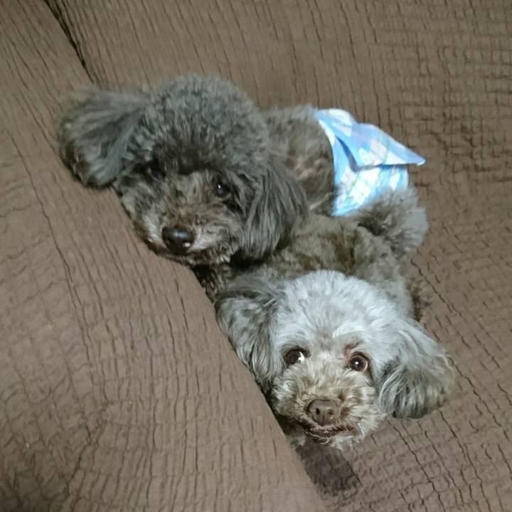 2e704621 7eae 42ab 865a ee7f7dba27b0 1553264056522