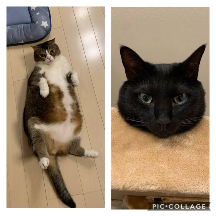 2e705ac3 3302 442e b84a 986b65ef273f 1597107191575