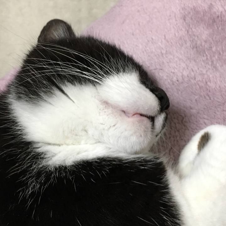 2e7070f4 f993 4f87 b4b0 7facc276473f 1519223409365