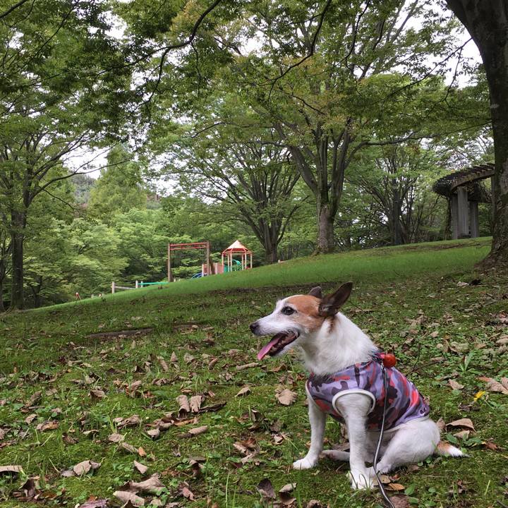 2e7074a2 4720 4960 bab2 a7606d5f693f 1629591187393