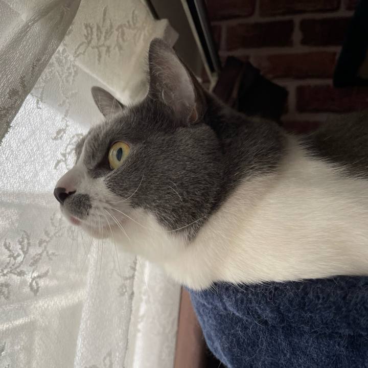 2e70e6d8 ccc4 4ee8 950e a42c8a14937d 1663886952136