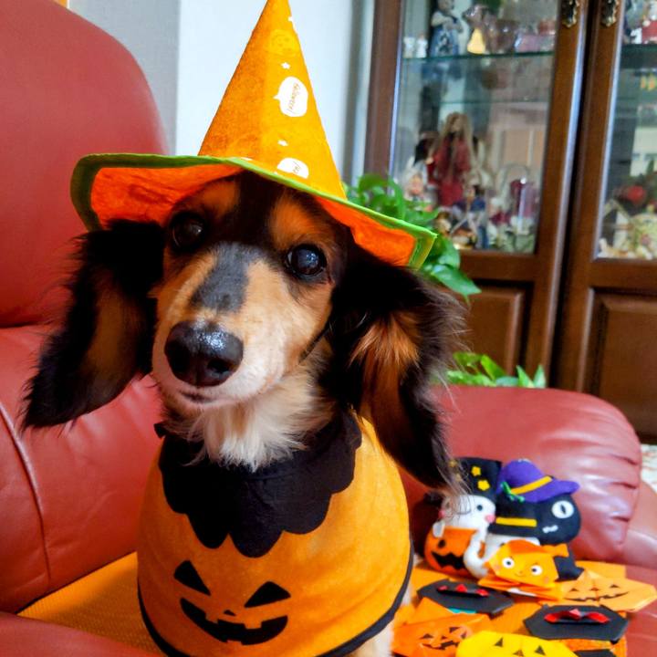 2e70f633 89c6 4513 bf2e 094cb64f3b99 1666404136869