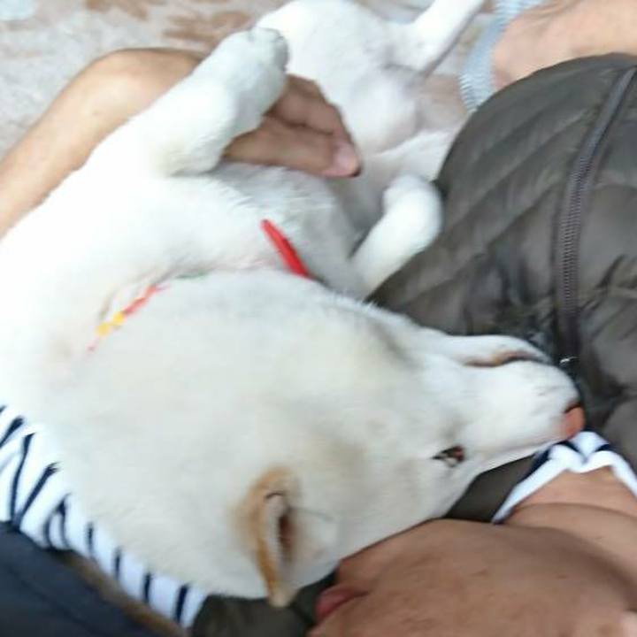 2e710bc3 c383 4073 9e3e f639228b99a6 1514082108509