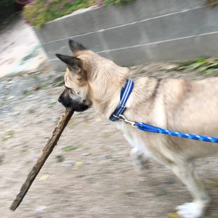 2e711136 08fc 4160 b5ba 554ada0ebcd0 1511180426593