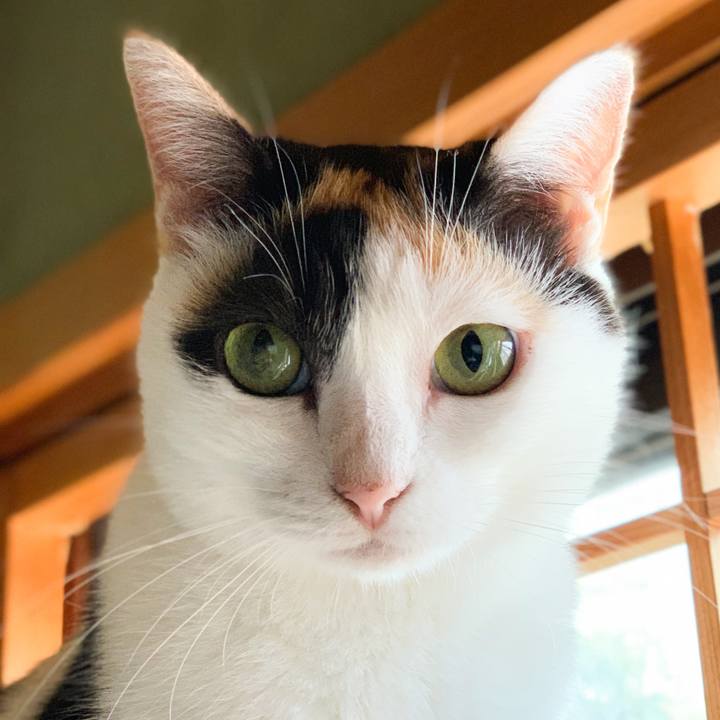 2e7134b2 42c7 46aa b9e7 037053a34353 1568078330181