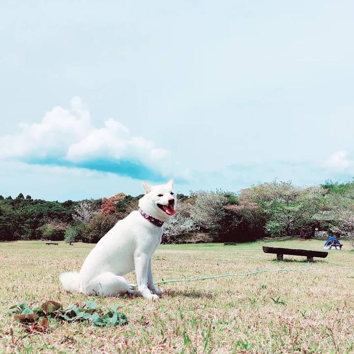 2e713e73 3bfe 4e9a 8865 6eb94aa3be11 1680424308581