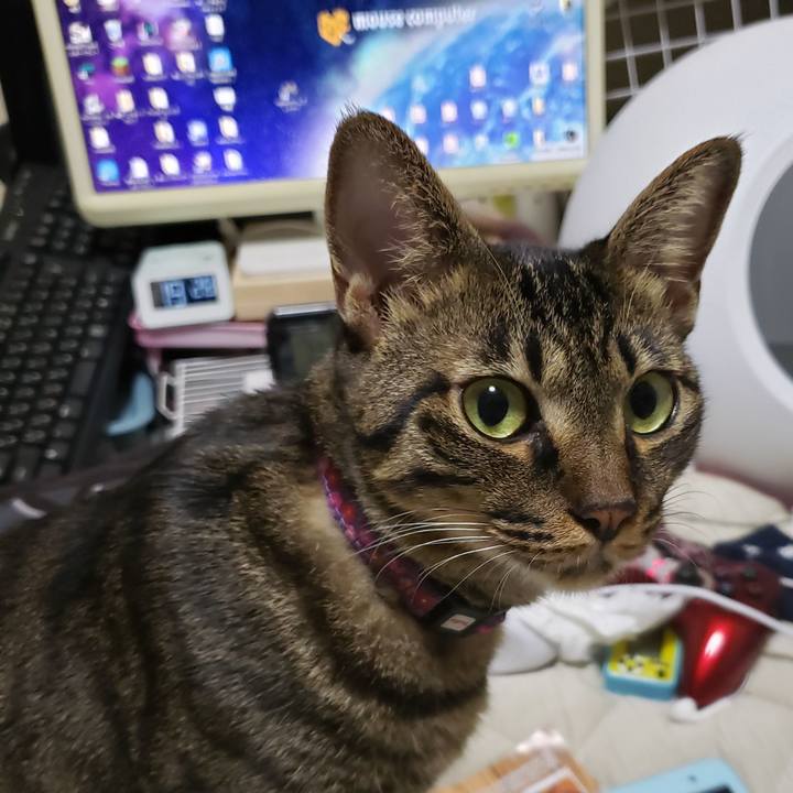 2e717f33 4f58 43fc 8a16 f7b12f32dadc 1567074679086