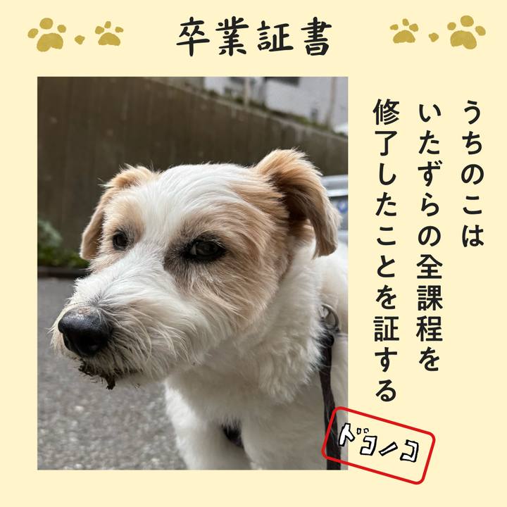 2e7186e6 0b0b 47c6 b7ff d07110ae69dd 1771917909548