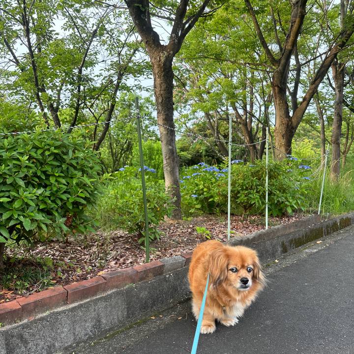 2e71b7d1 6f1c 4e88 97f8 063f72a49f2f 1718830399799