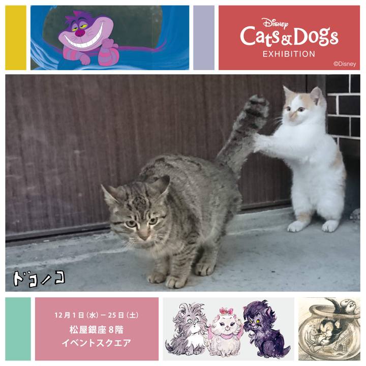 2e71c820 d299 4379 92ed 493a493ed410 1638447800706