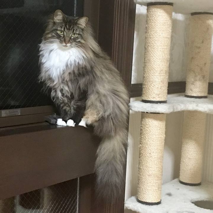 2e720ec8 749e 4edb 9001 a306c24ee400 1510236370912