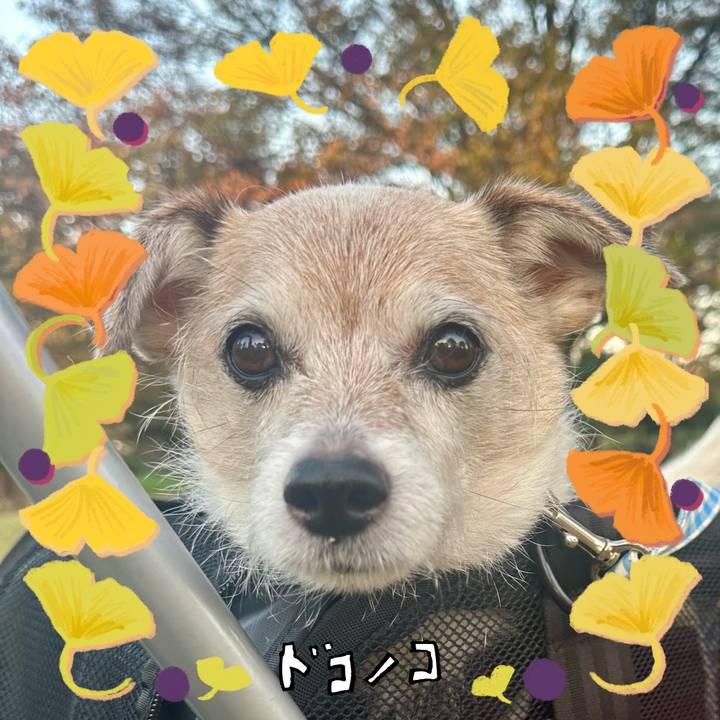 2e7227ac 1005 4ca5 8bd8 9158a2d4dcf6 1731367807585