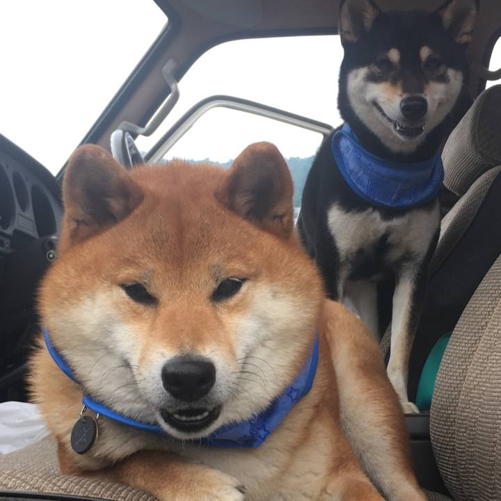 2e729f8c aa32 45df b645 0f42ba60ede1 1528615571441