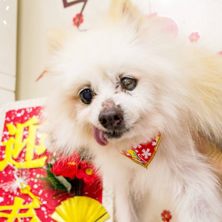 2e72be26 57b7 432d 982e 3416be67a65b 1515401693356