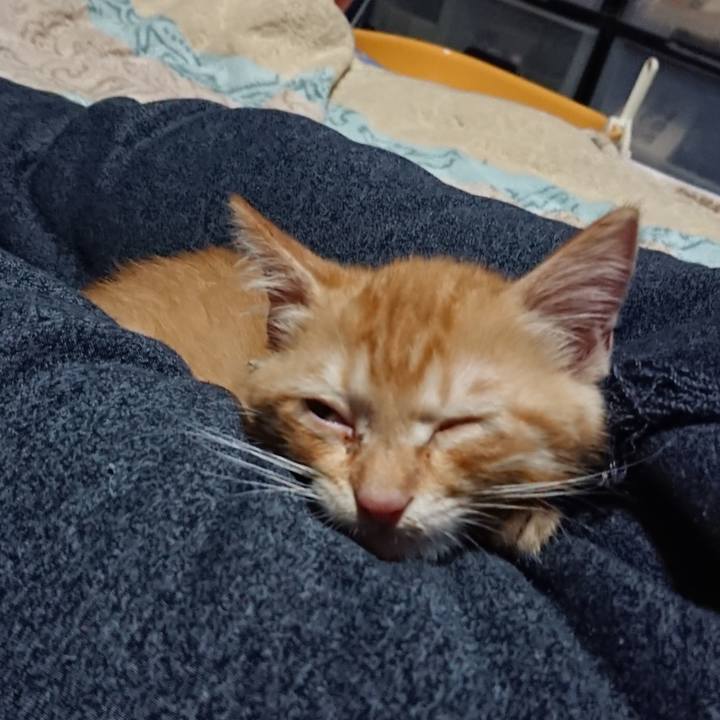 2e72e502 902a 4ff2 bad1 985665e6c061 1629550216877