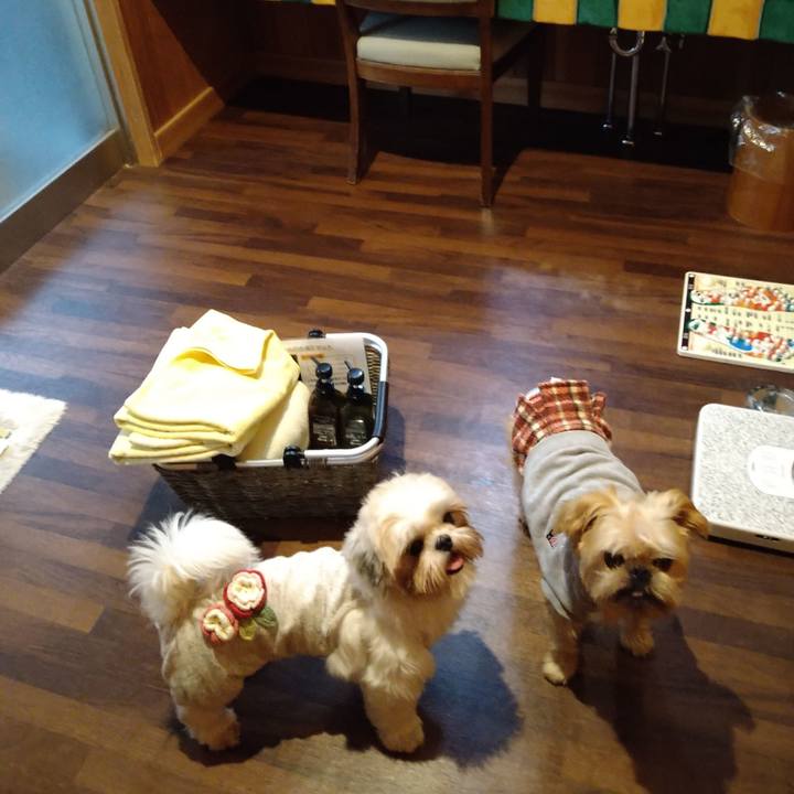 2e730bc3 365b 4202 b007 b8785819614b 1603878419431