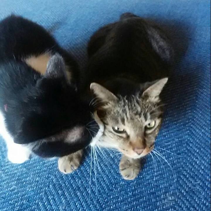 2e730ca6 09b6 4741 8975 7736b12c2f46 1565484446680