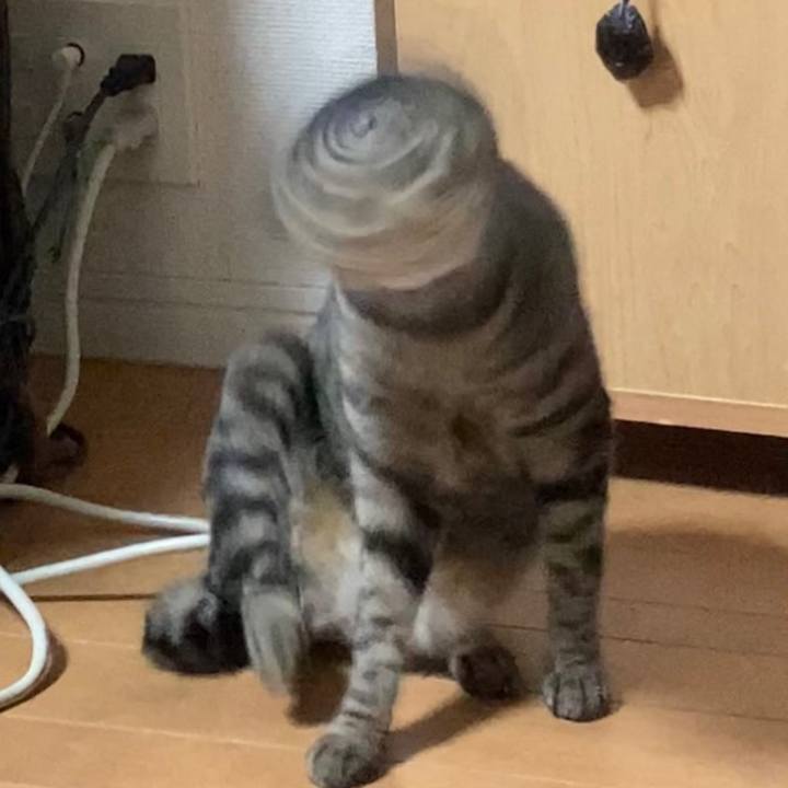 2e732b35 0a00 411b 9eeb f07fc9cc1fd2 1625833833944