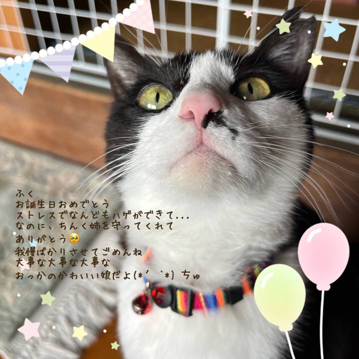 2e736fe0 ad50 469d a702 d8ef7af3febd 1718429678665