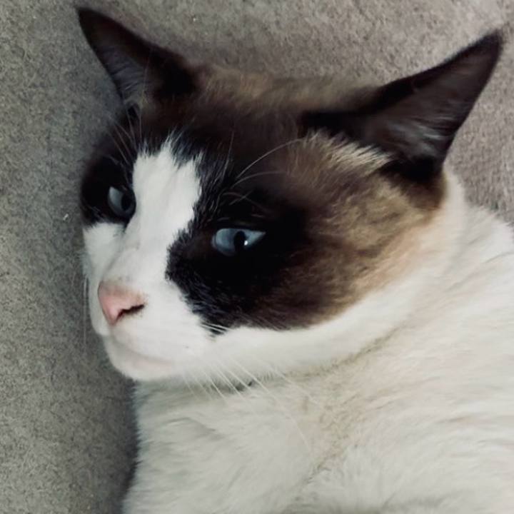 2e73986e ef74 4d75 bb77 cfb8c288afdf 1744077937744