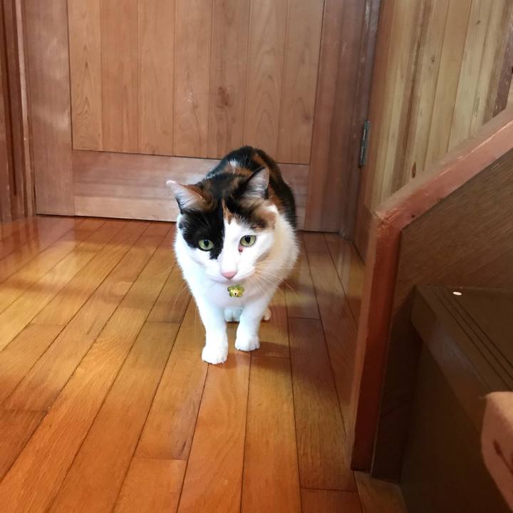 2e739ff7 4164 4f8d 8f15 969667b5aec1 1511594160305