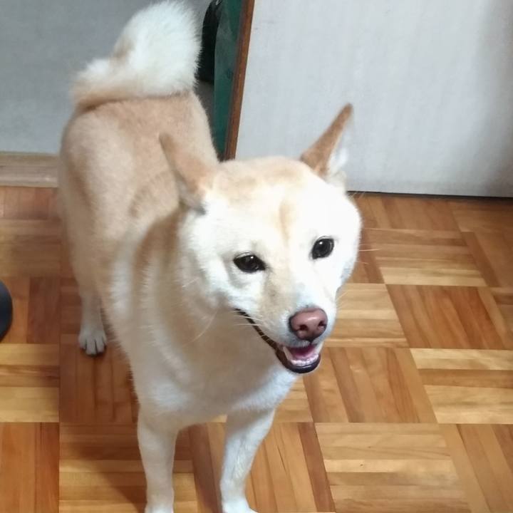 2e73bfa4 b040 4859 ae22 d2491ce5b69e 1566082291437