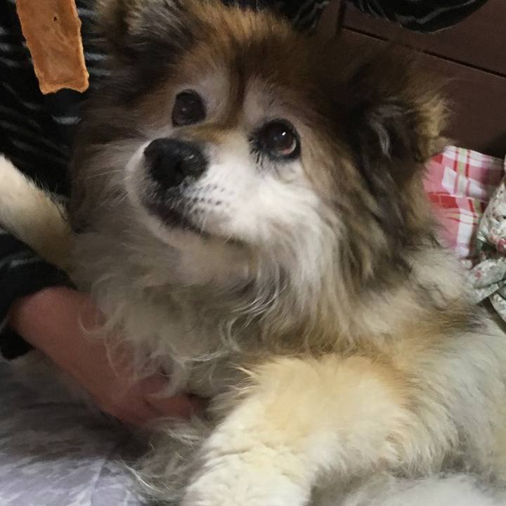 2e73d83d d984 4b65 9aa0 5be9321969dc 1583210085293