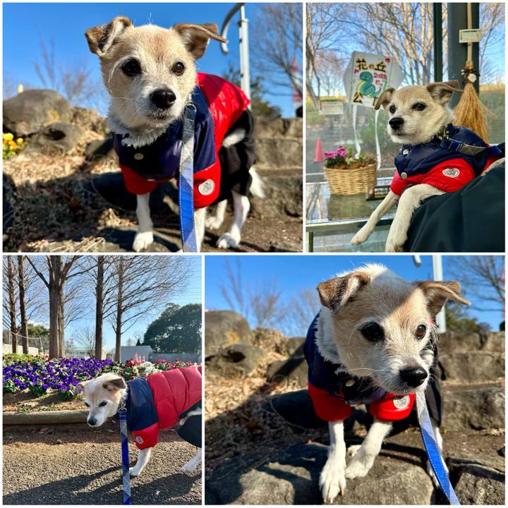 2e73fc2d bcd1 424a 9a8b 05b3c1534b28 1738321235273