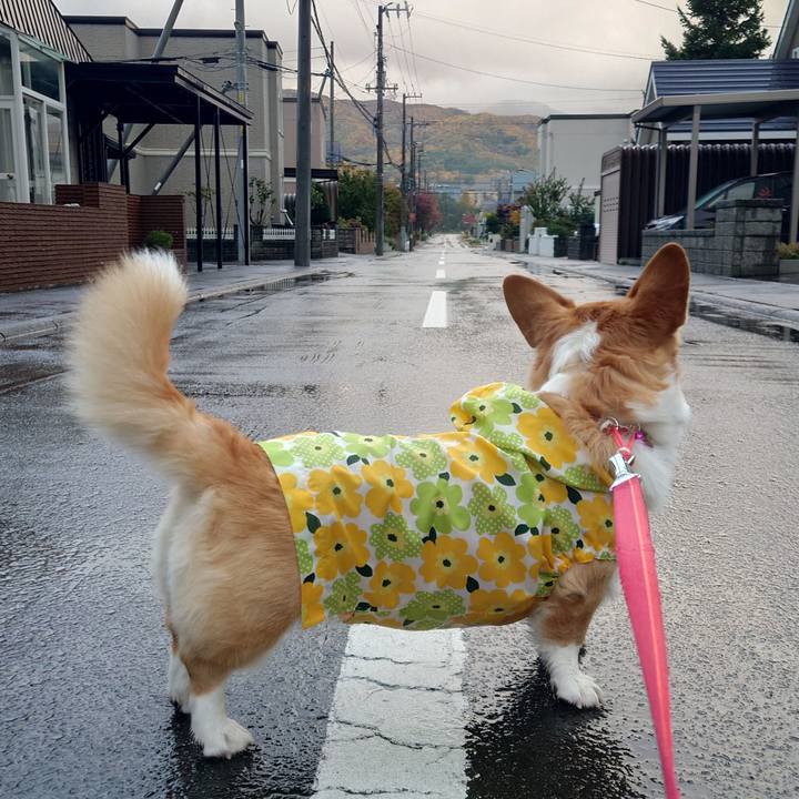 2e742bba f84a 4107 9688 525a5c28a103 1761262538499