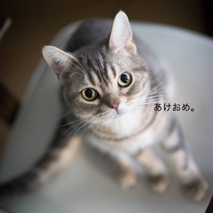 2e74a58a 60fa 44ca a2cd 20cbe7475afe 1514893189107