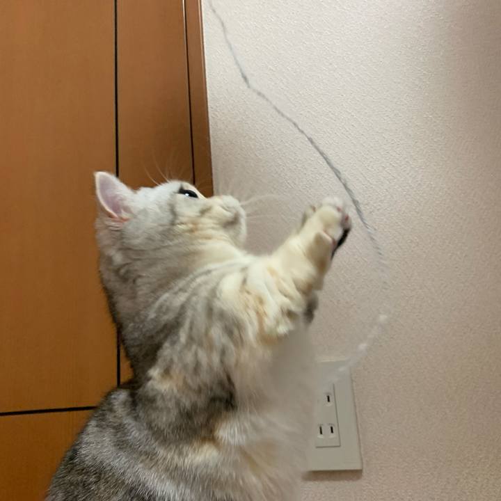 2e74dc7c 3676 4d61 874f ca795a763147 1705667886967