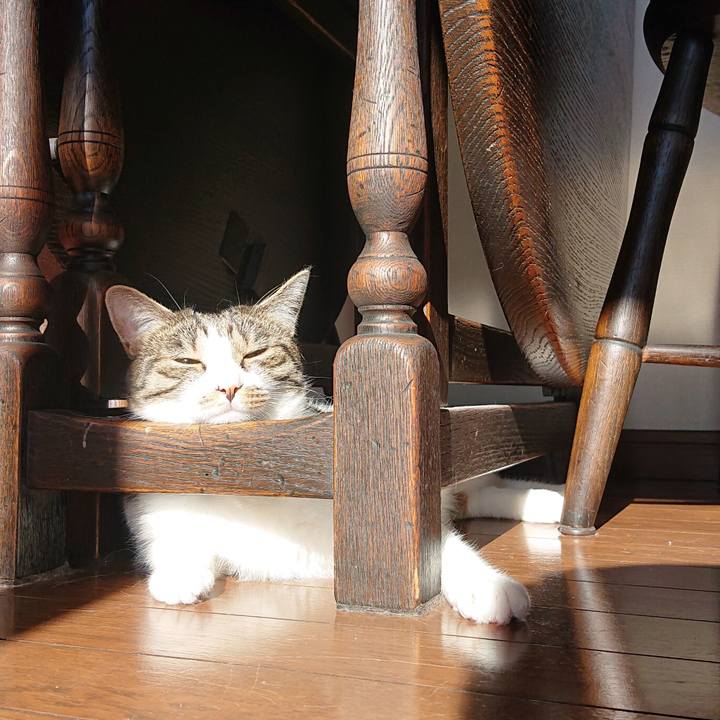 2e751e09 4557 4090 9813 a921caa6b72f 1575772245003