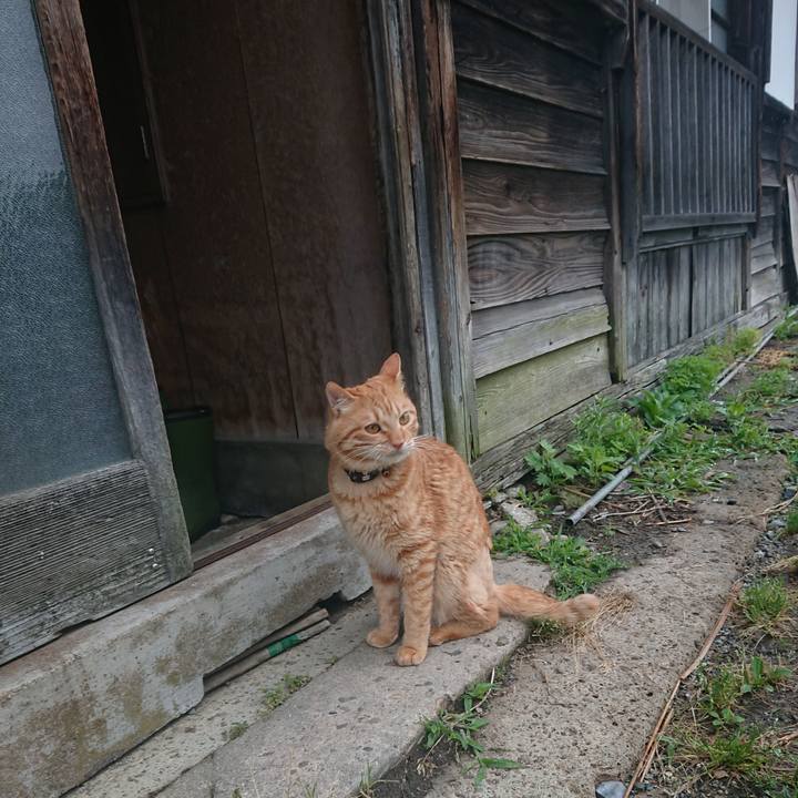 2e751f94 84fc 4a3f 8c5c 3169e91d0c01 1654725676099