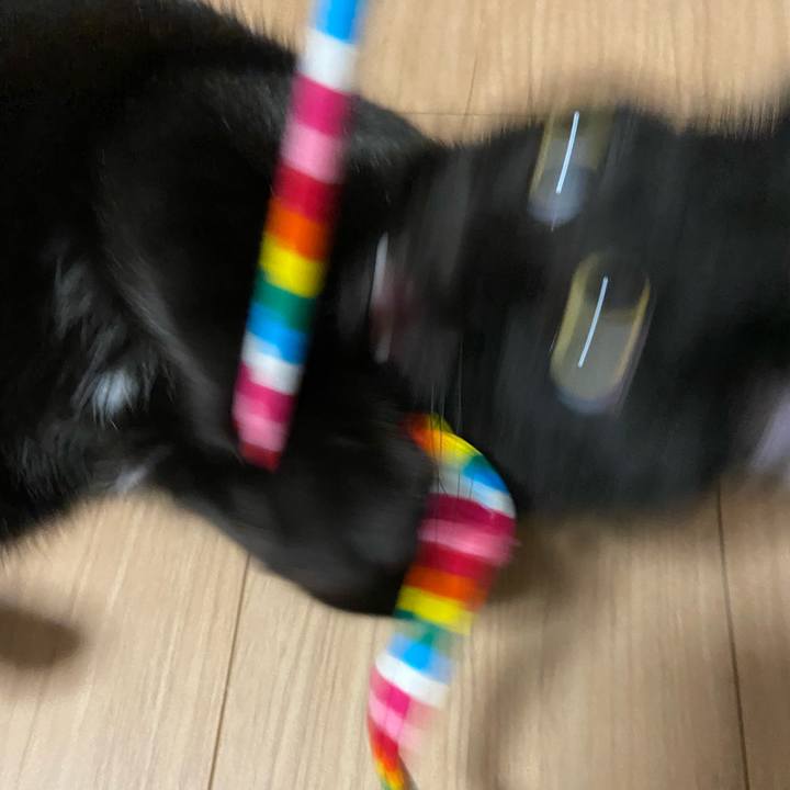 2e7549b5 721d 4cf8 9499 caf296ad6d80 1618697864802